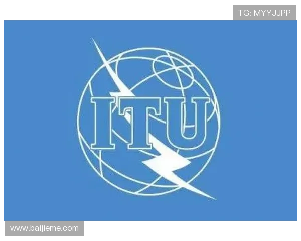 提升你的体育体验：B sports国际首页提供的多元化内容与互动服务介绍